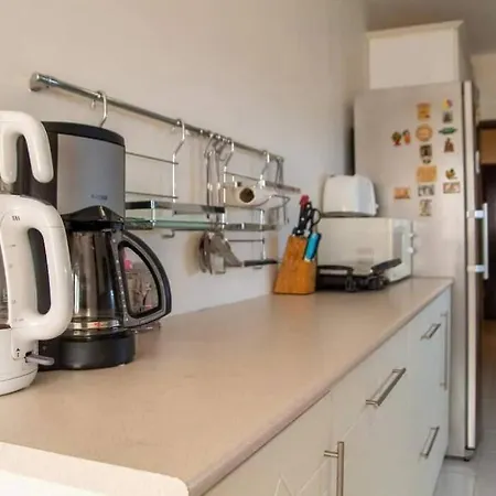 Flat With Centrally Location - Near The Attractions In Karsiyaka דירה